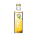 Karma Wellness Water